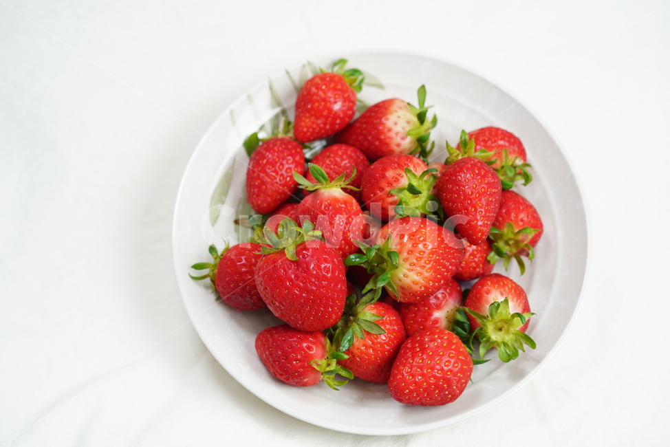 딸기,과일,음식,먹거리,후식,비타민,빨강,색감,red,strawberry,food,fruit,음식,식재료,요리,food,cook,meal,dishes,food reserves,과일,열매,fruit
