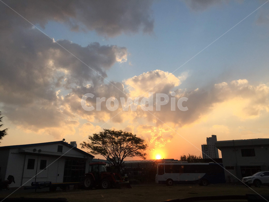 노을,하늘,구름,나무,버스,sunset,landscape,bus,sky,cloud,도시,풍경,city,landscape,nature,자연,outdoors,옥외,dusk,황혼,dawn,새벽,red sky,붉은 하늘,일몰