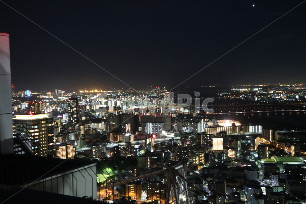 야경,공중공원,우메다,난바,감성,일본,하늘,밤하늘,불빛,야경,밤,풍경,nightscape,night,landscape,도시,city,경치,nature,자연,outdoors,옥외,scenery,aerial view,조감도