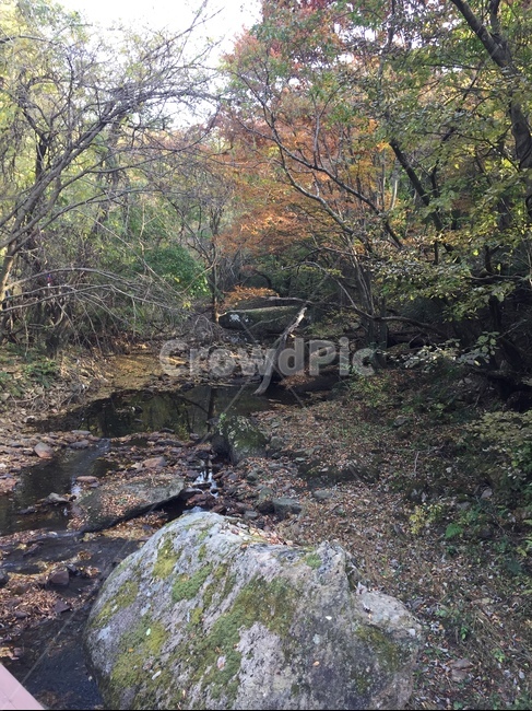 자연,nature,시냇물,가을,초록,자연,풍경,nature,landscape