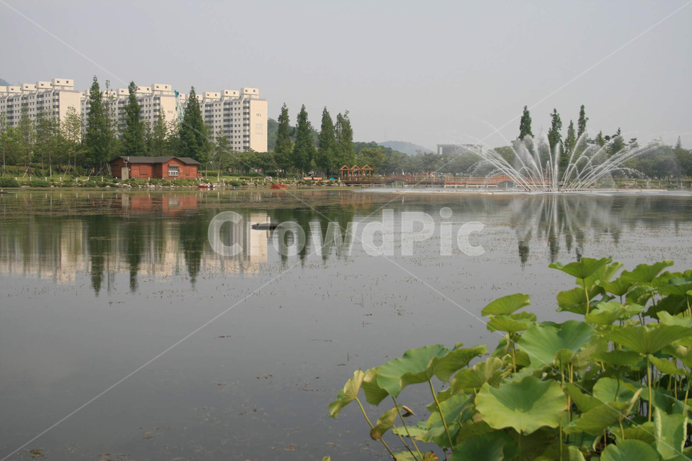 공원,호주,도심공원,수변공원,park,lake,fountain