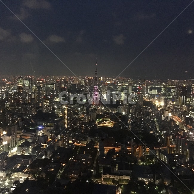 야경,하늘,저녁,타워,도쿄,일본,도쿄타워,네온