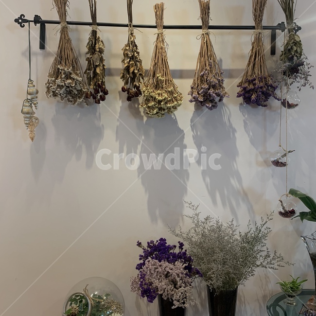 plant,식물,말린꽃,드라이플라워,dryflower