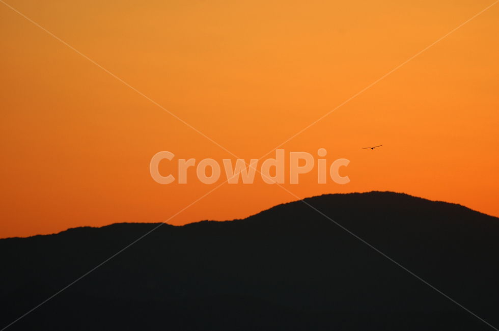 dusk,황혼,sunset,일몰,능선,sky,하늘,outdoors,nature,자연,풍경,nature,landscape,옥외,dawn,새벽,red sky,붉은 하늘