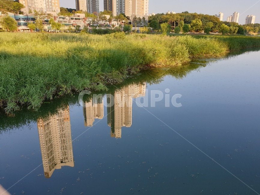 호수,도시,공원,건물,숲,수풀,도시,풍경,city,landscape,한국도시풍경,한국도시경관,korea cityscape