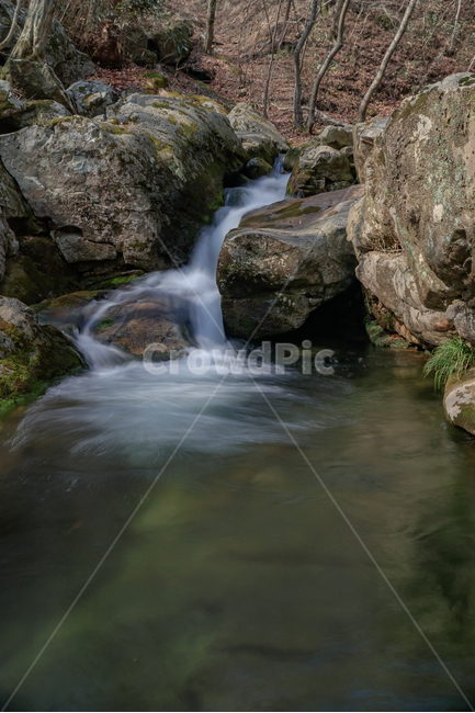 선암사,계곡,계류,이끼,자연,자연,풍경,nature,landscape,water,물,outdoors,옥외,river,강