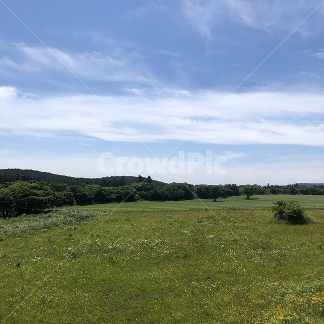 자연,푸른하늘,여름,풍경,들판,초원,맑은날씨,맑은날,sky,landscape,색깔,색상,feeling,감성,color,색채,색감,파란색,blue,bluesky,nature,colorsense,green,white