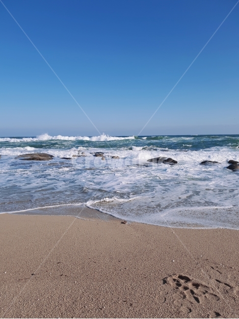 sea,바다,outdoors,옥외,ocean,대양,nature,자연,water,물,shoreline,해안선