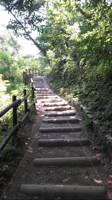 자연,계단,정원,길,산길,오르막,등산,산책로