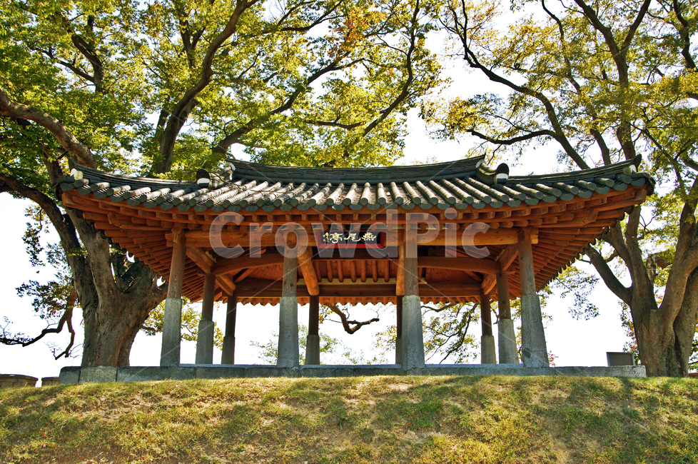 연미정,월곶진,강화도,유형문화재제24호,민도리집,강화팔경,정자나무,한국전통,한국문화,korean traditional,korean culture,건축물,건물외관,exterior,building,structure,architecture,construction
