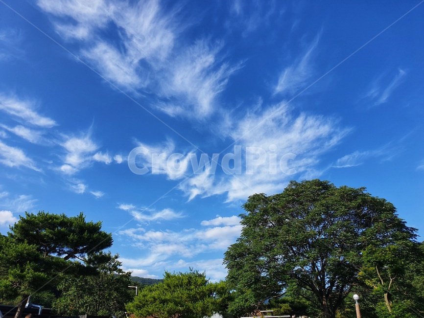 nature,자연,outdoors,옥외,하늘,sky,구름,cloud