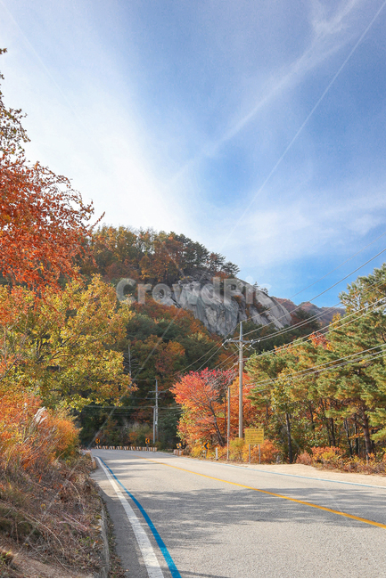 설악산,단풍나무,산,도로,가을,강원도,plant,식물,tree,나무,road,가을,계절,fall,autumn,season,자연,풍경,nature,landscape