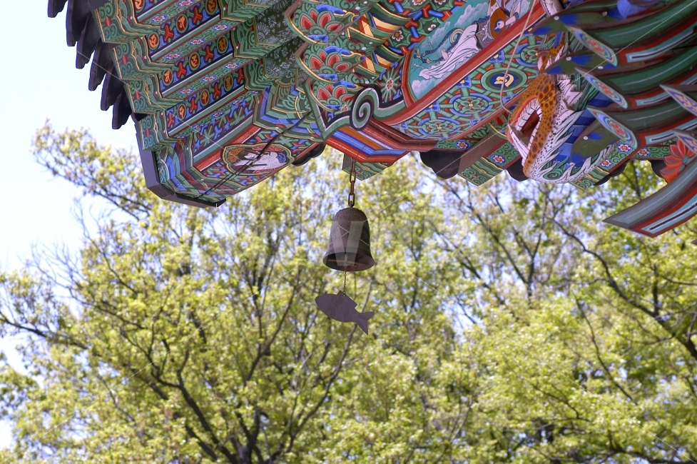 절,종,사찰,단청,지붕,무늬,문양,전통문양,불교,종교,풍경,기와,기와집,한옥,건축,전통,전통건축,건축양식,한국,건축물,건물외관,exterior,building,structure,architecture,construction,한국전통,한국문화,korean traditional,korean culture