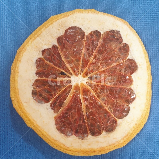단면,오렌지,오렌지단면,확대,음식,과일,자몽,food,식물,grapefruit,감귤류과일,citrusfruit