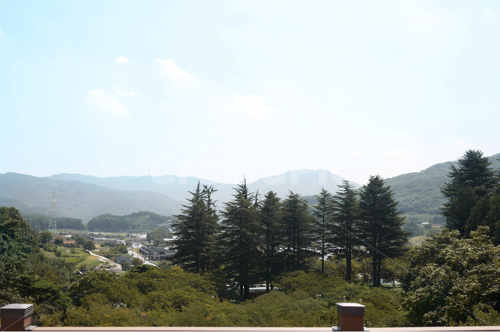 양산,대한민국,관광,법기수원지,경상남도양산,편백나무숲,편백나무,푸른하늘,배경,하늘,전망,산,물,강가,nature,outlook,한국자연,옥외,전경,자연,강,전나무,식물,plant,tree,나무