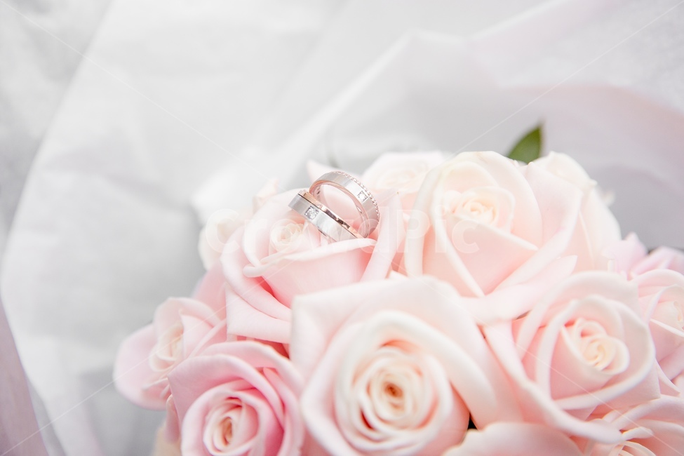 결혼,웨딩,커플링,웨딩링,결혼반지,부케,꽃부케,꽃,flower,결혼,혼례,웨딩,wedding,marriage,marry