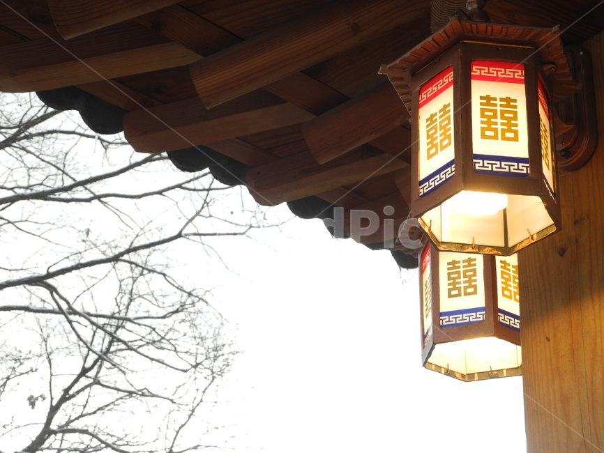 추녀,등,겨울,한옥,석양