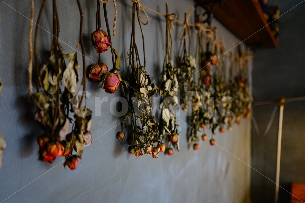 드라이플라워,카페,생각,꽃,인테리어,휴식,힐링,식물,자연,plants,nature,꽃,flower,인테리어,실내디자인,interior design