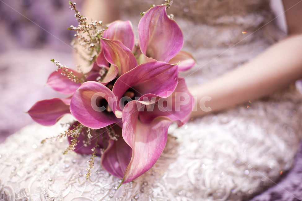 부케,결혼,웨딩,wedding,꽃,결혼식,식물,사람,인물,인간,human,person,신체일부,몸,body,여성,여자,woman,female,lady,결혼,혼례,웨딩,wedding,marriage,marry
