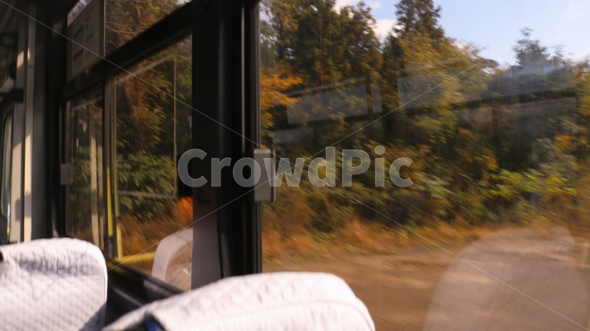 버스,풍경,창문,나무,숲,도로,제주,제주도,자동차,교통,교통수단,traffic,transportation