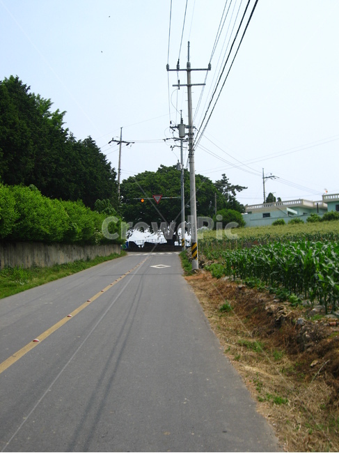 길,도로,road,시골길,전봇대,시골,농촌
