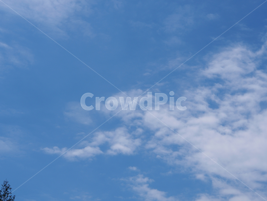 하늘,구름,조각구름,봄,맑은,자연,풍경,nature,landscape,outdoors,옥외,sky,azure sky,푸른 하늘