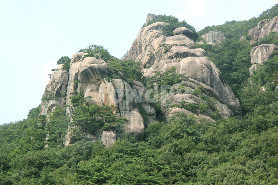 asia,cliff,forest,green,korea,mountain,nature,rock,stone,tree,자연,한국,아시아,절벽,암벽,돌,바위,바위산,풍경,숲,나무,그린,녹색,산,산정상,정상,산꼭대기,자연,풍경,nature,landscape,한국자연풍경,한국자연경관,korea nature landscape,outdoors,옥외,낭떠러지
