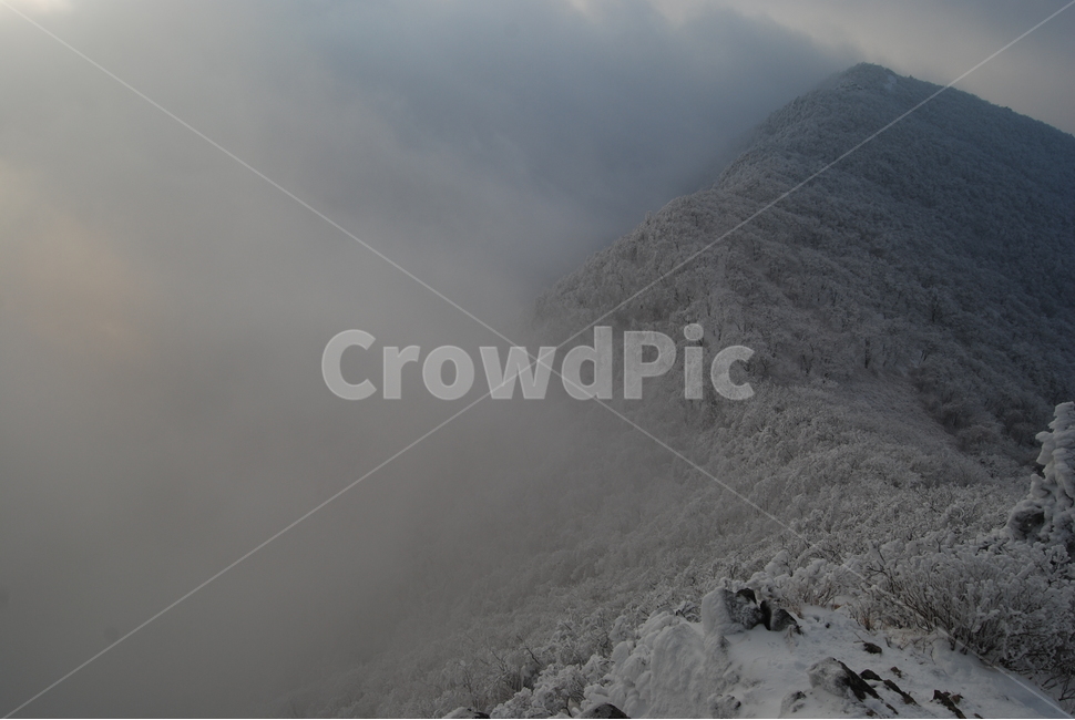 가지산,울산,눈,안개,등산로,겨울,계절,winter,season,자연,풍경,nature,landscape,한국자연풍경,한국자연경관,korea nature landscape,outdoors,옥외