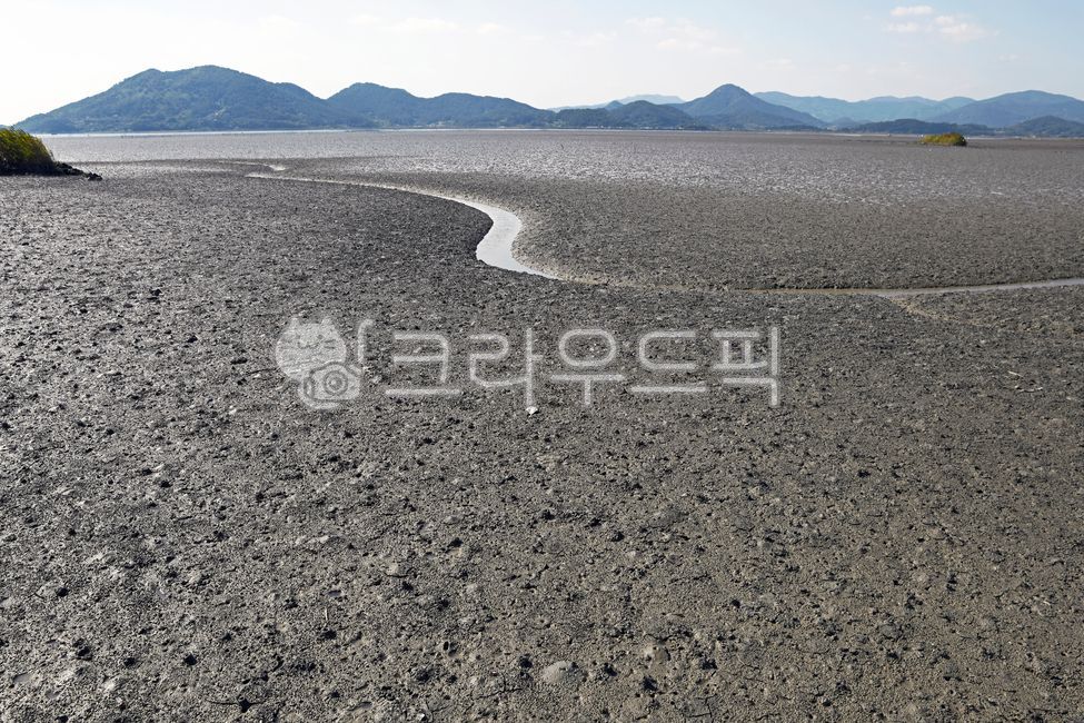 순천만습지,순천만,습지,순천만갯벌,갯벌,갯골,세계자연유산,해안습지