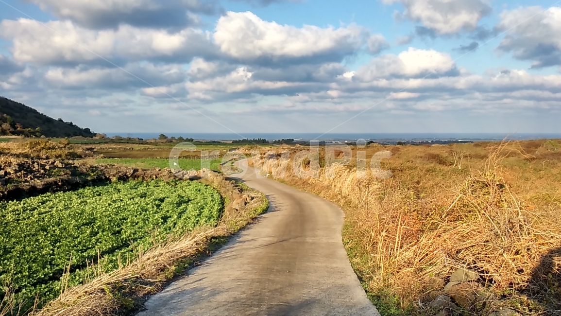 구름,시골길,길,들,풍경,하늘,자연,풍경,nature,landscape,시골,마을,country,rural,town,road,도로,outdoors,옥외