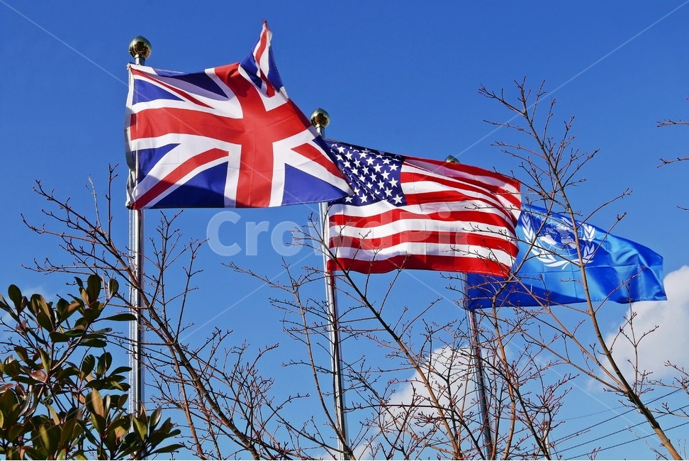미국,미국기,영국,영국기,유엔,유엔기,기,깃발,국기,성조기,uk,하늘,구름,나무,깃대,깃봉,파이프,유엔공원,펄럭이는,휘날리는