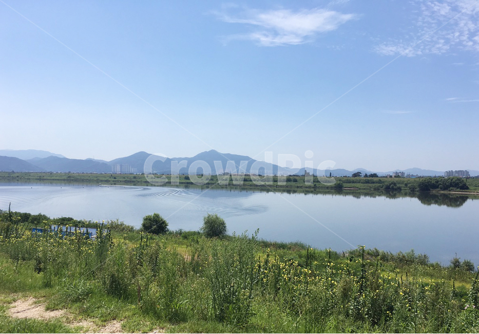 풍경,river,season,여름,강,자연,봄,시원한,강정보,대구,날씨,맑음,산책,감성,feeling