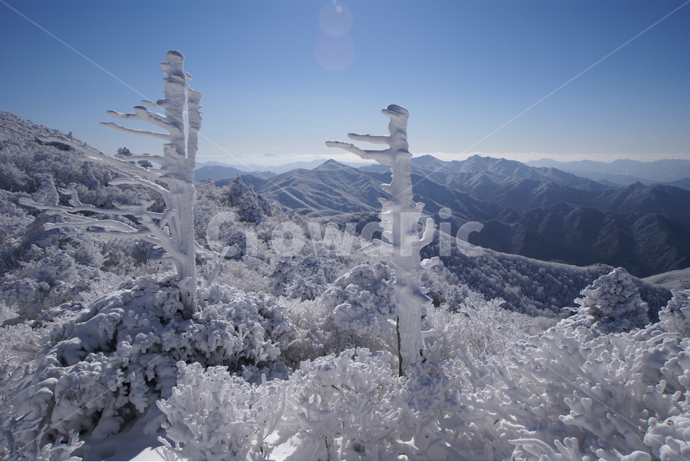 덕유산,설경,상고대,무주,풍경,눈,국립공원,겨울,계절,winter,season,자연,풍경,nature,landscape,한국자연풍경,한국자연경관,korea nature landscape,ice,빙,outdoors,옥외,snow