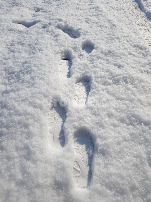 눈길,눈,발자국,겨울,컨셉,콘셉,감성,흰색,하양,색감