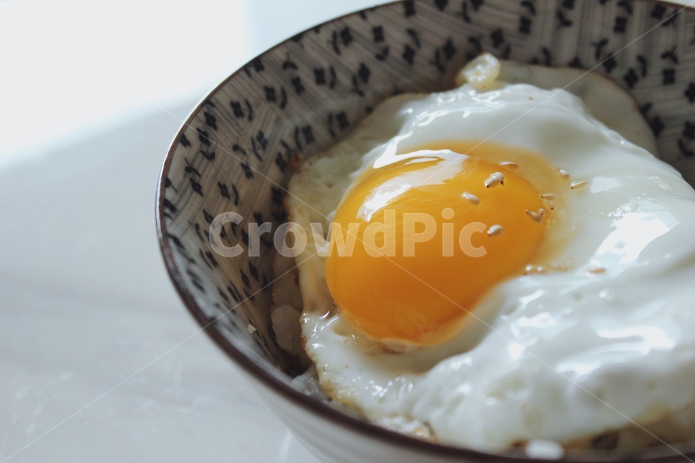 계란,덮밥,음식,egg,자연광,음식,식재료,요리,food,cook,meal,dishes,food reserves