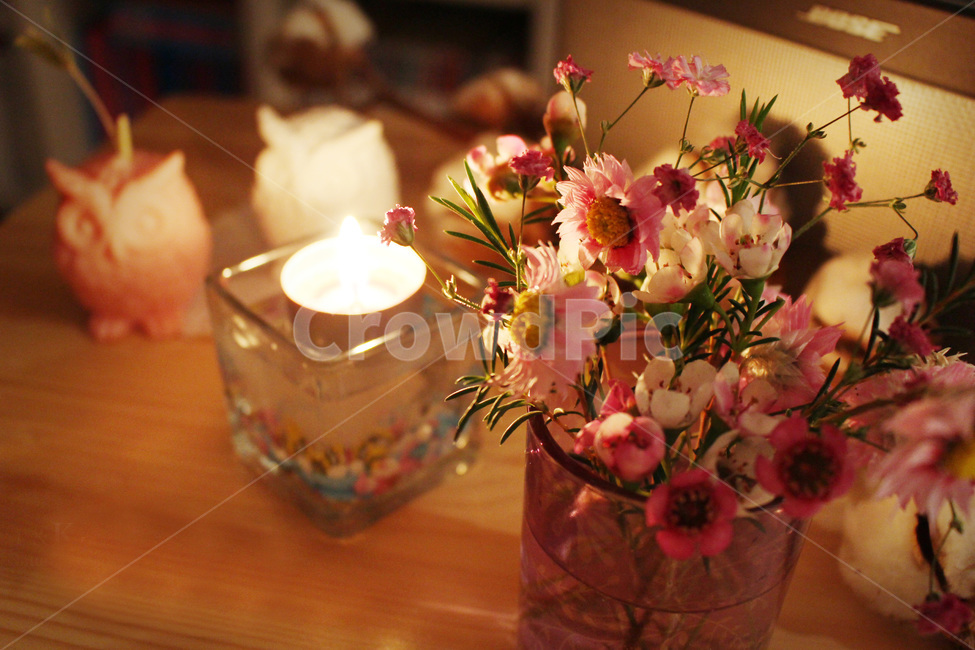 꽃,초,소품,인테리어,티라이트,캔들,실내용화초,화분,화초,house plant