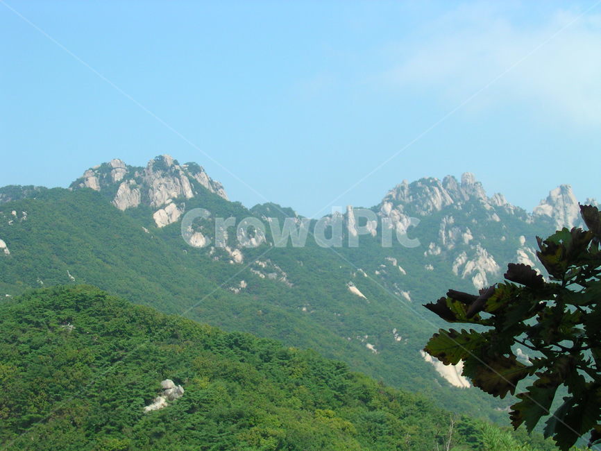도봉산,정상,푸르름,암석,절벽,바위,등산