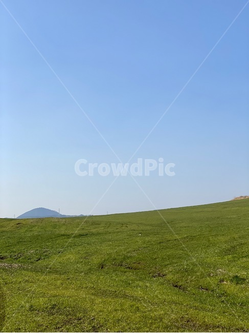 목초지,grassland,nature,field,들,제주도