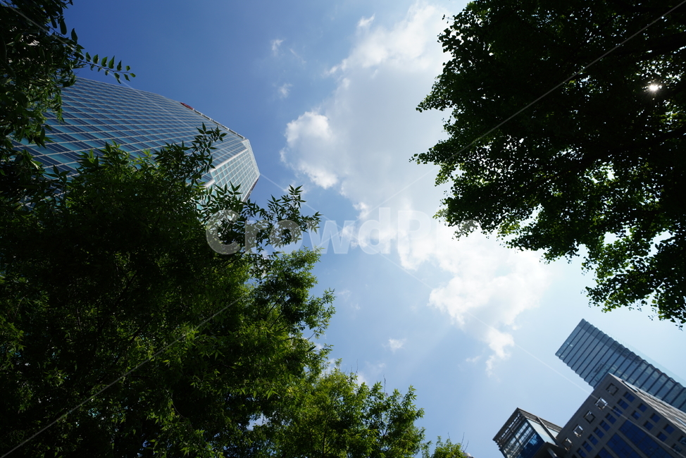 풍경,자연,구름,cloud,sky,하늘,날씨,light,빛,outdoors,옥외,도시,풍경,city,landscape