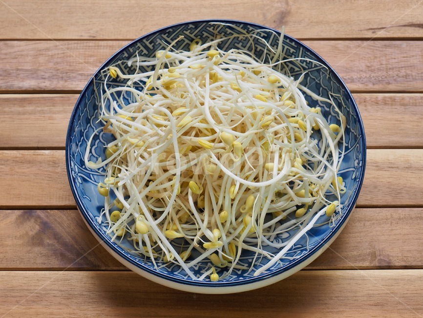 콩나물,나물,음식,음식재료,채소,웰빙,배경,콩,신선한,beansprouts,herbs,food,foodingredients,vegetable,wellbeing,background,bean,fresh,음식,식재료,요리,food,cook,meal,dishes,food reserves