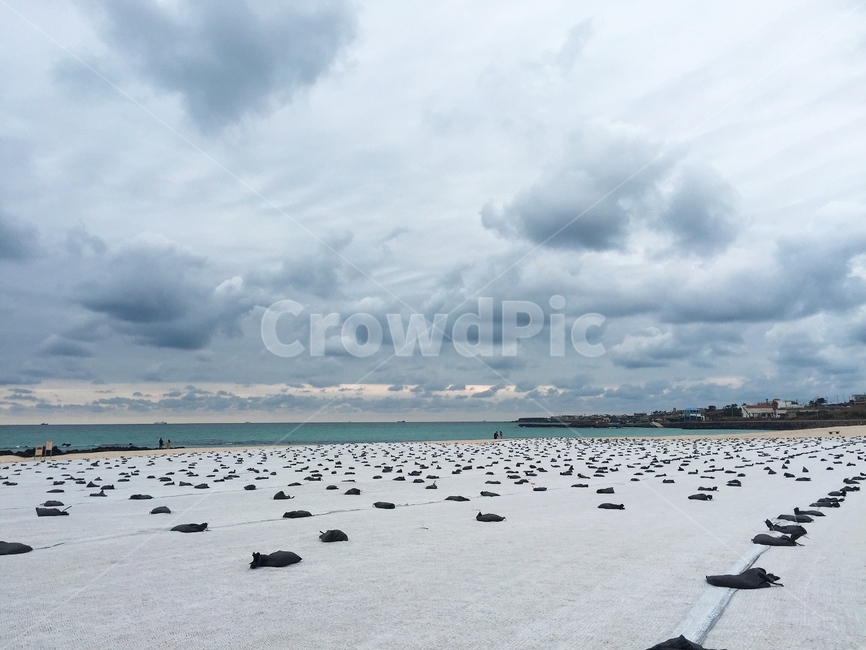 제주도,jeju,바다,beach,jejuisland,제주,제주도바다,제주바다,구름,하늘,수평선,파도