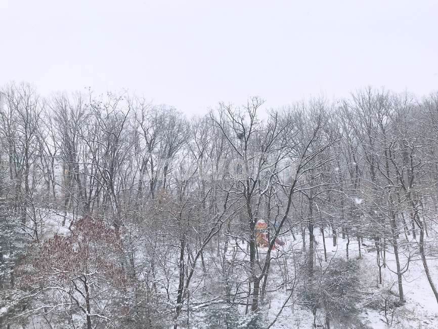 눈,산,놀이터,12월,겨울,겨울,계절,winter,season,자연,풍경,nature,landscape,outdoors,옥외,storm,폭풍,snow,blizzard,눈보라