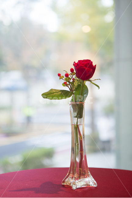 장미꽃,꽃,빨간색,인테리어,장식품,꽃,flower