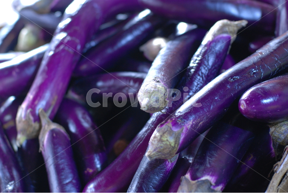 가지,야채,채소,보라색,vegetable,veg,eggplant,음식,food,health,채소,야채,vegetables