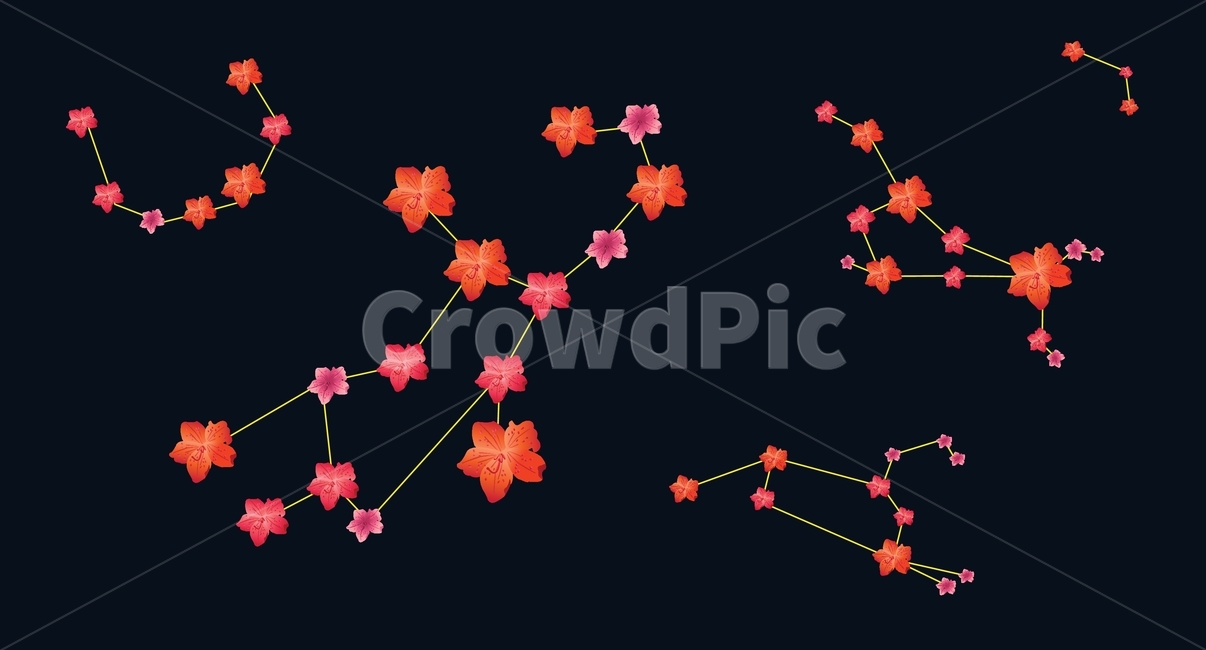 별자리,꽃,진달래,꽃별자리,별,그래픽,일러스트,꽃,flower,그래픽,일러스트레이션,graphic,illustration