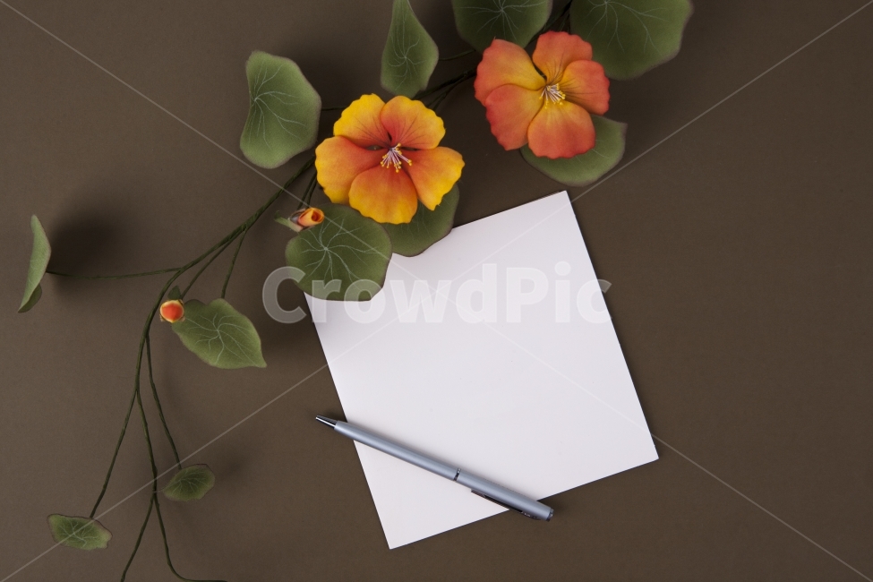 꽃,오브젝트,카드,청첩장,결혼,선물,인사,조화,볼펜,펜,쓰다,엽서,사랑,흰색,화이트,여성,웨딩,주황색,한련화,메시지,초대장,디자인,장식,비즈니스,아티스트,아트,컬러풀,고급스러움,꽃송이,꽃봉오리,빈티지,초대,인사말,품격,기념일,축하,anniversary,congratulation,celebrate,celebration,비즈니스,사업,business,service,work,사물,물건,오브젝트,thing,object,matter,연출,컨셉,콘셉,direction,concept,학용품,문구류,사무용품,school supplies,stationery,office supplies