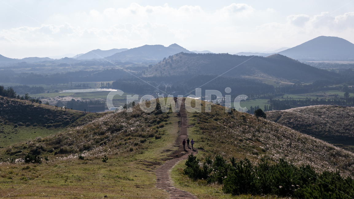 용눈이,용눈이오름,오름,orum,jeju,제주,제주도,제주오름,가을제주,가을,풍경,landscape,grassland,목초지,field,nature,경사,slope,들,자연,자연,풍경,nature,landscape