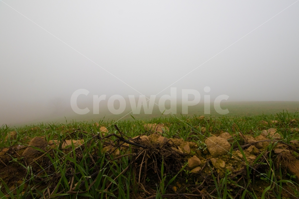 언덕,안개,동산,바람의언덕,풀,자연,풍경,nature,landscape,weather,날씨,ground,바닥,fog