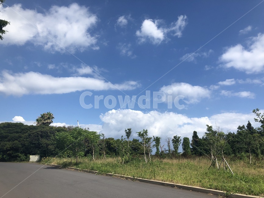하늘,도로,나무,숲,들판,푸른하늘,구름,cloud,sky,road