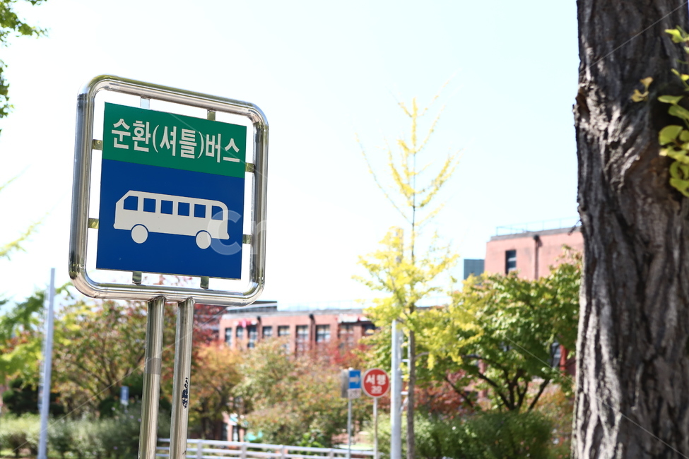 버스,버스정류장,길거리,풍경,나무